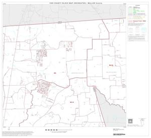 1990 Census County Block Map (Recreated): Waller County, Block 2