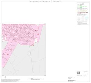 1990 Census County Block Map (Recreated): Runnels County, Inset C04
