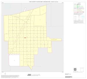 1990 Census County Block Map (Recreated): Hale County, Inset C01