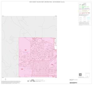 1990 Census County Block Map (Recreated): Hutchinson County, Inset D01