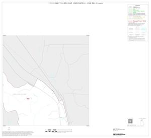 Primary view of object titled '1990 Census County Block Map (Recreated): Live Oak County, Inset A03'.