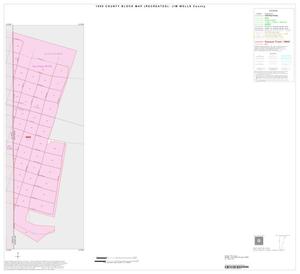Primary view of object titled '1990 Census County Block Map (Recreated): Jim Wells County, Inset B01'.