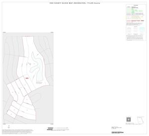 Primary view of object titled '1990 Census County Block Map (Recreated): Tyler County, Inset C01'.