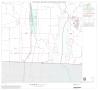 Map: 1990 Census County Block Map (Recreated): Cooke County, Block 19
