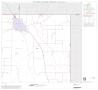 Thumbnail image of item number 1 in: '1990 Census County Block Map (Recreated): Hall County, Block 3'.