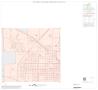 Primary view of 1990 Census County Block Map (Recreated): Hale County, Inset A03
