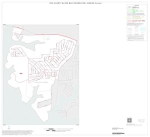 Primary view of object titled '1990 Census County Block Map (Recreated): Marion County, Inset B01'.