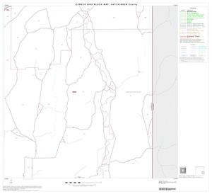 Primary view of object titled '2000 Census County Block Map: Hutchinson County, Block 12'.