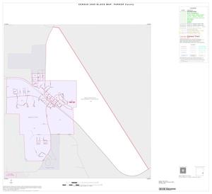 2000 Census County Block Map: Parker County, Inset F01