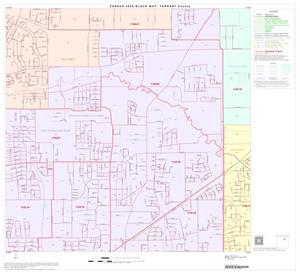 2000 Census County Block Map: Tarrant County, Block 27