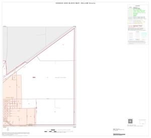 Primary view of object titled '2000 Census County Block Map: Dallam County, Inset B02'.