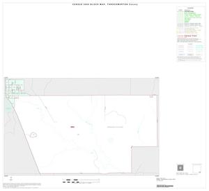 Primary view of object titled '2000 Census County Block Map: Throckmorton County, Inset B01'.