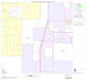 2000 Census County Block Map: Tarrant County, Block 15
