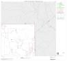 Thumbnail image of item number 1 in: '2000 Census County Block Map: McMullen County, Block 3'.