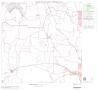 Map: 2000 Census County Block Map: Cherokee County, Block 10