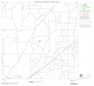 2000 Census County Block Map: Pecos County, Block 21