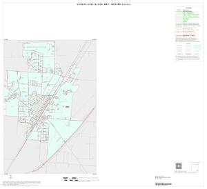 2000 Census County Block Map: Medina County, Inset H02