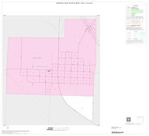 Primary view of object titled '2000 Census County Block Map: Hall County, Inset C01'.
