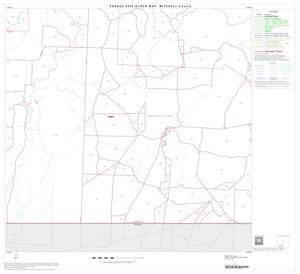 2000 Census County Block Map: Mitchell County, Block 14