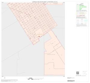 2000 Census County Block Map: Atascosa County, Inset E03