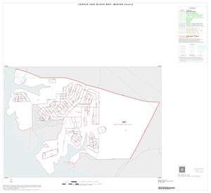 2000 Census County Block Map: Marion County, Inset B01