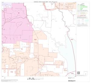 2000 Census County Block Map: Collin County, Block 31