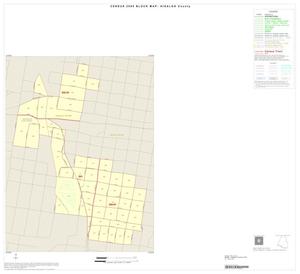 2000 Census County Block Map: Hidalgo County, Inset G01