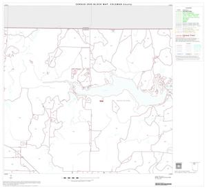 Primary view of object titled '2000 Census County Block Map: Coleman County, Block 2'.