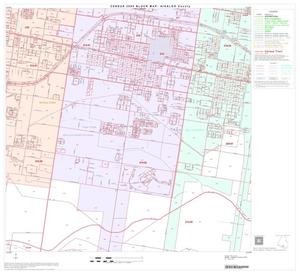 2000 Census County Block Map: Hidalgo County, Block 78
