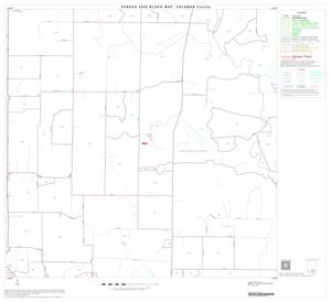 Primary view of object titled '2000 Census County Block Map: Coleman County, Block 19'.