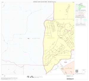 2000 Census County Block Map: Bexar County, Block 13