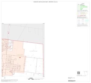 2000 Census County Block Map: Brooks County, Inset A02