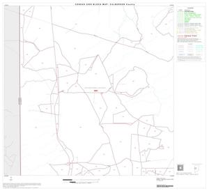 Primary view of object titled '2000 Census County Block Map: Culberson County, Block 7'.