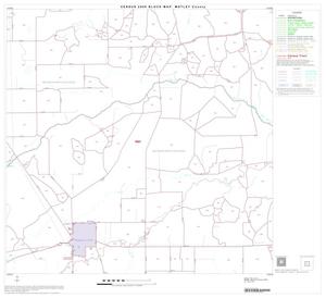Primary view of object titled '2000 Census County Block Map: Motley County, Block 5'.