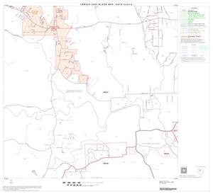 Primary view of object titled '2000 Census County Block Map: Hays County, Block 8'.