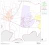 Thumbnail image of item number 1 in: '2000 Census County Block Map: Hidalgo County, Block 65'.