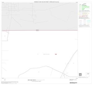 Primary view of object titled '2000 Census County Block Map: Winkler County, Block 2'.