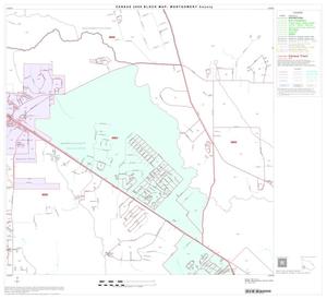 Primary view of object titled '2000 Census County Block Map: Montgomery County, Block 32'.