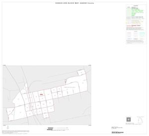 Primary view of object titled '2000 Census County Block Map: Sabine County, Inset B01'.