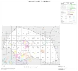 Primary view of object titled '2000 Census County Block Map: Williamson County, Index'.