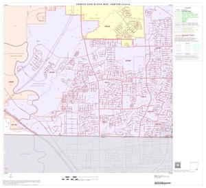 2000 Census County Block Map: Denton County, Block 55