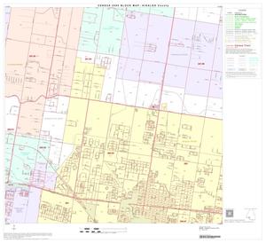 Primary view of object titled '2000 Census County Block Map: Hidalgo County, Block 67'.
