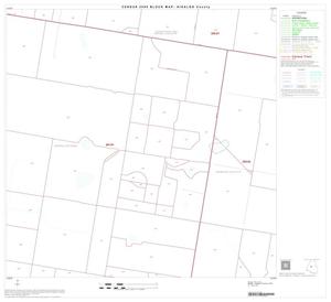 Primary view of object titled '2000 Census County Block Map: Hidalgo County, Block 38'.