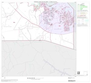 2000 Census County Block Map: Llano County, Block 16