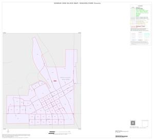 Primary view of object titled '2000 Census County Block Map: Shackelford County, Inset B01'.