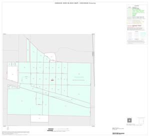 Primary view of object titled '2000 Census County Block Map: Cochran County, Inset C01'.