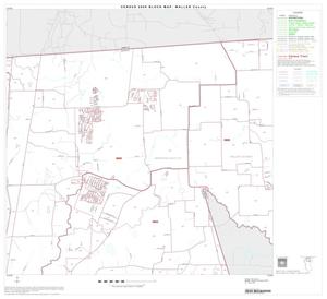 2000 Census County Block Map: Waller County, Block 2
