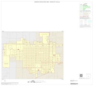 Primary view of object titled '2000 Census County Block Map: Hockley County, Inset C01'.