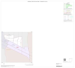 2000 Census County Block Map: Parker County, Inset D01