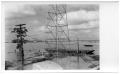 Photograph: [Photograph of Metal Tower in Flood]